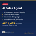 AI Sales Agent Setup: Business by Eseries Now
