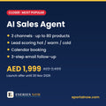 AI Sales Agent Setup: Closer by Eseries Now