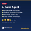 AI Sales Agent Setup: Launch by Eseries Now