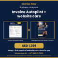 Business Care Pack: Invoicing + Website Care, Eseries Now