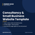 Consultancy & Small Business Website Template | Eseries Now