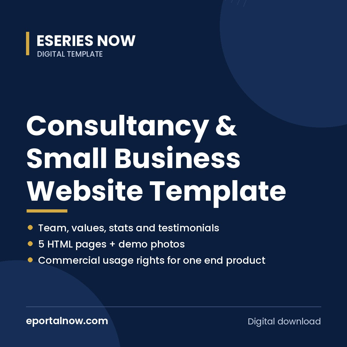 Consultancy & Small Business Website Template | Eseries Now