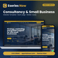 Consultancy & Small Business Website Template – cover image, Eseries Now