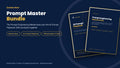 Prompt Engineering Bundle: Course + 300 Prompts – cover image, Eseries Now