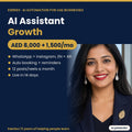 AI WhatsApp and Instagram assistant for UAE businesses, Growth setup by Eseries
