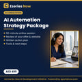 AI Automation Strategy Package: 60-minute online consultation and action plan, AED 499