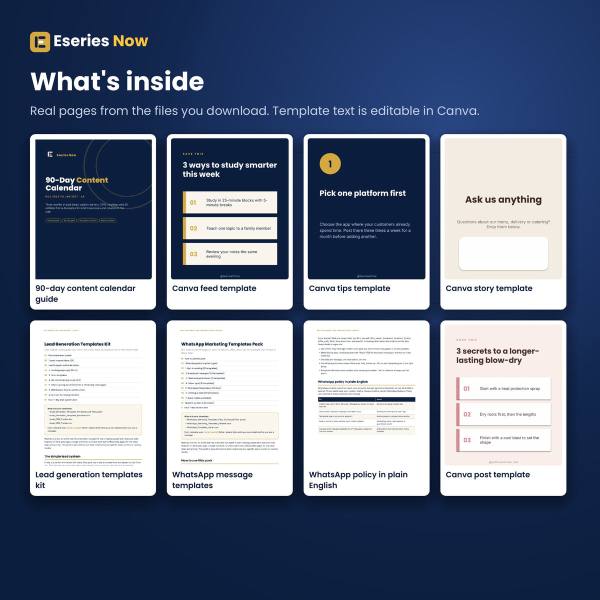 Eseries Now Small Business AI Growth Bundle: inside pages preview