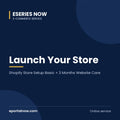 Launch Your Store: Shopify Store Setup Basic + 3 Months Website Care | Eseries Now