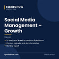 Social Media Management – Growth (1 Month) | Eseries Now