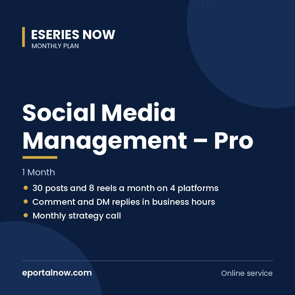 Social Media Management – Pro (1 Month) | Eseries Now