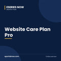 Website Care Plan Pro | Eseries Now
