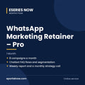 WhatsApp Marketing Retainer – Pro (1 Month) | Eseries Now